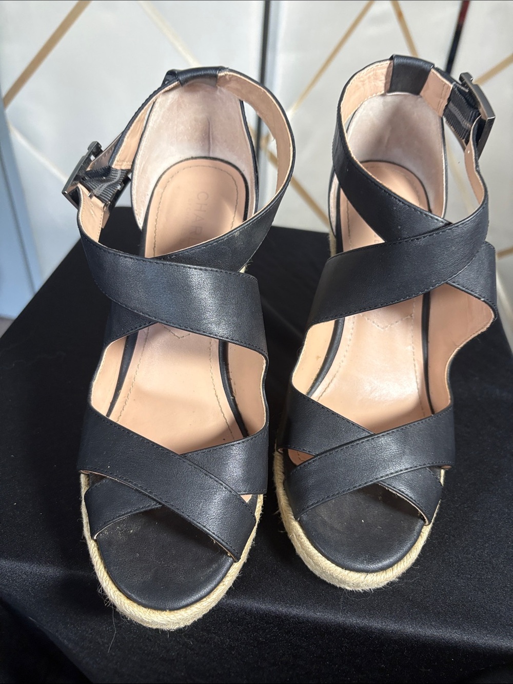 Charles by Charles David Wedge Sandals SZ 8.5